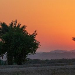 Rundresa i Iran 2019, mot Dezful