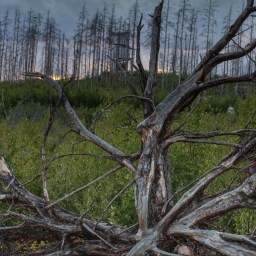 Hälleskogsbrännan 2020-07-08