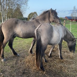 Efstur mot nya äventyr.