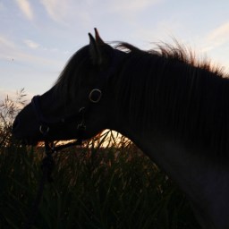 Hur lätt det är att missa detta!